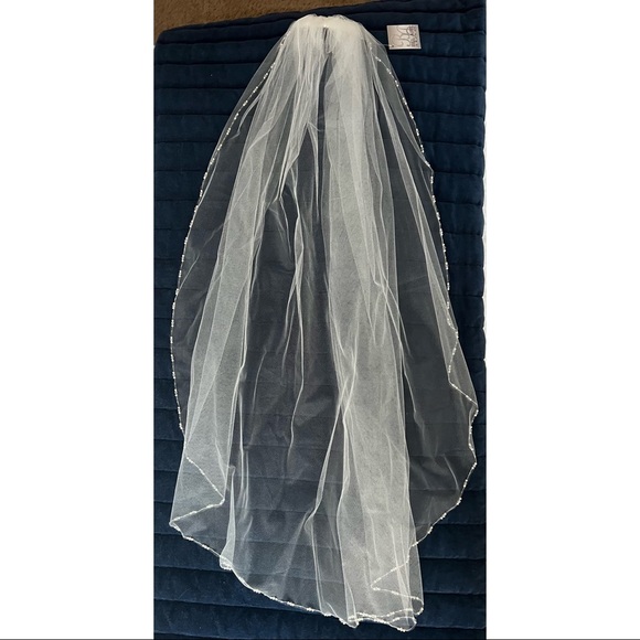 Ivory veil with beading detail - Picture 1 of 2